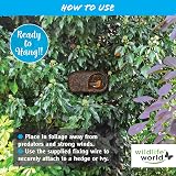 Simon King Wildlife World Brushwood Nester Bird Habitat Brown view 5