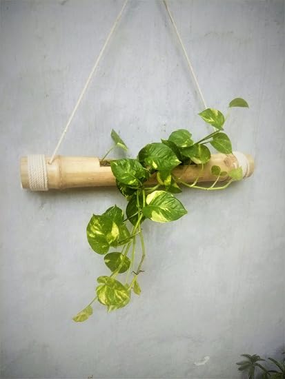 TANISHAS GALLERY Hanging Bamboo Planter