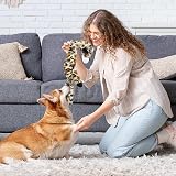 Newthinking No Stuffing Dog Toys 5 Pack Squeaky Plush Indestructible view 6