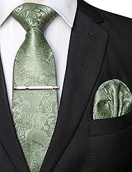 JEMYGINS Mens Sage Green Paisley Necktie and Pocket