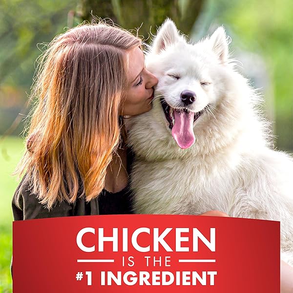 PUR LUV DOG TREATS, K9 KABOBS FOR DOGS MADE WITH REAL CHICKEN AND DUCK, 12 OUNCES, HEALTHY, EASILY DIGESTIBLE, LONG-LASTING, HIGH PROTEIN DOG TREAT, SATISFIES DOG’S URGE TO CHEW