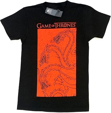 Game Of Thrones Targaryen Panel Banner Black Men S T Shirt X