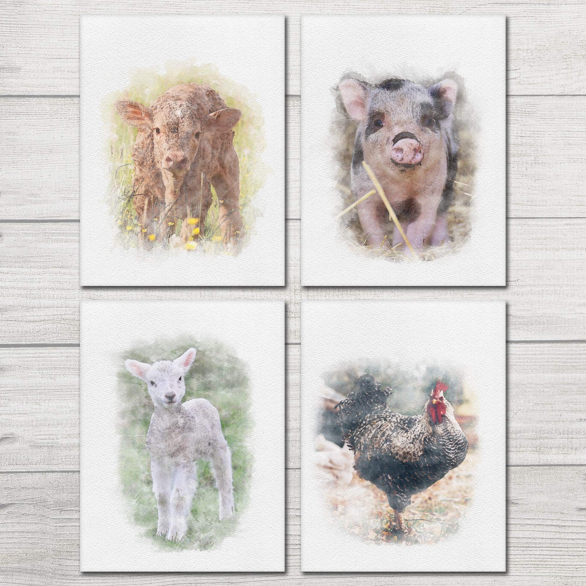 A&M Natural Living Farm Animal Prints, Set Of 4 Watercolour Style A4 Nursery Prints, Baby Girl Or Boy Bedroom Living Room Posters, Wall Art Gift Present Cow Pig Sheep Cockerel Decor
