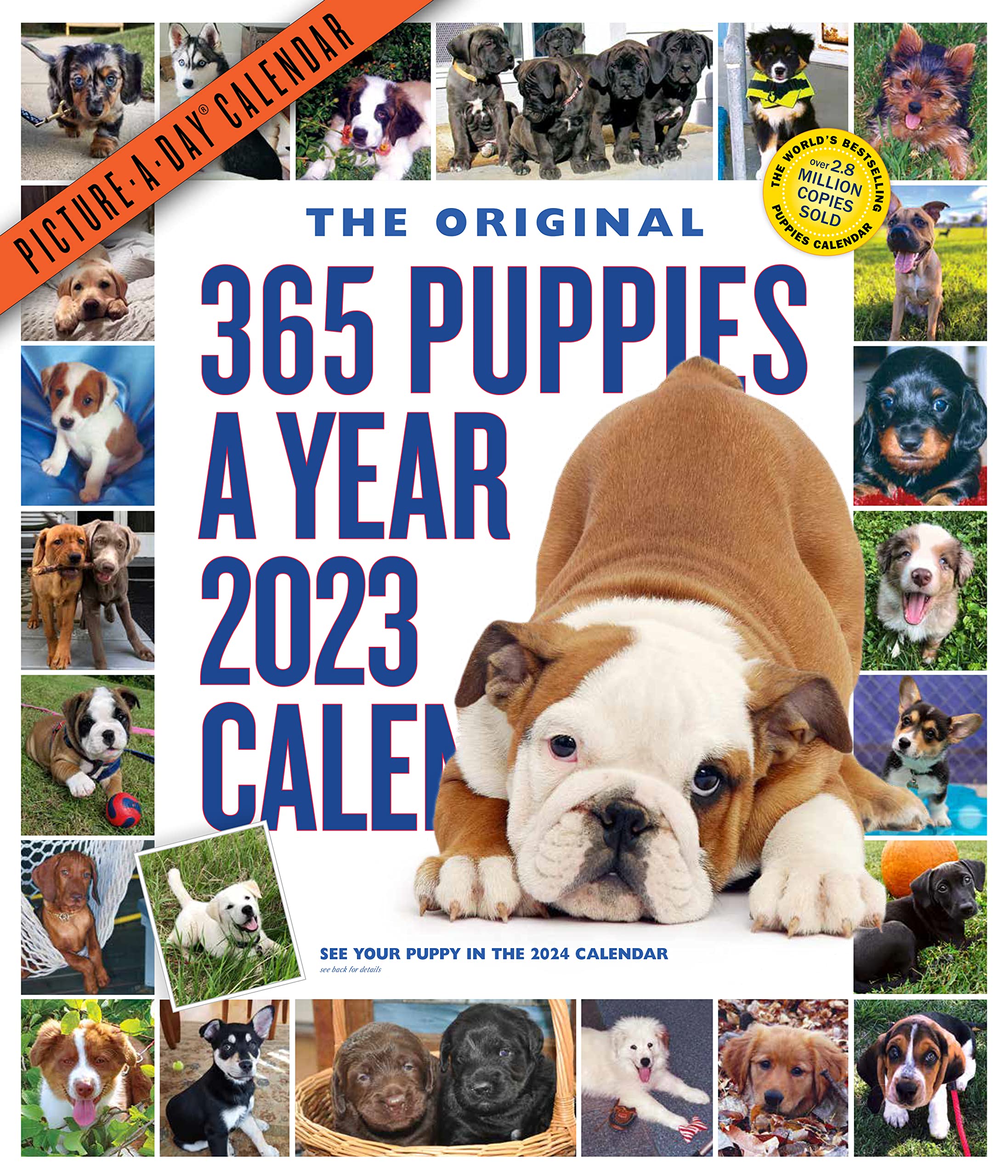 Calendar 365 Com 2023 365 Puppies-A-Year Picture-A-Day Wall Calendar 2023: Amazon.co.uk: Workman  Calendars: 9781523516698: Books
