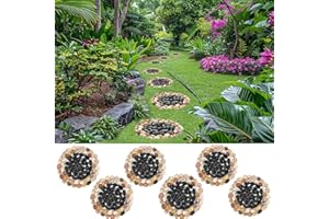 EYZH Garden Stepping Stone Outdoor Decorative Round Stepping Stones with Black Stones Round Polished River Pebble Stone from Natural River, for Garden Patio Walkway(10in 6Pcs Pack)
