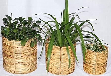Cane Pot Planters Tub Holders by RDE Collections (Set of 3 - S,M,L)
