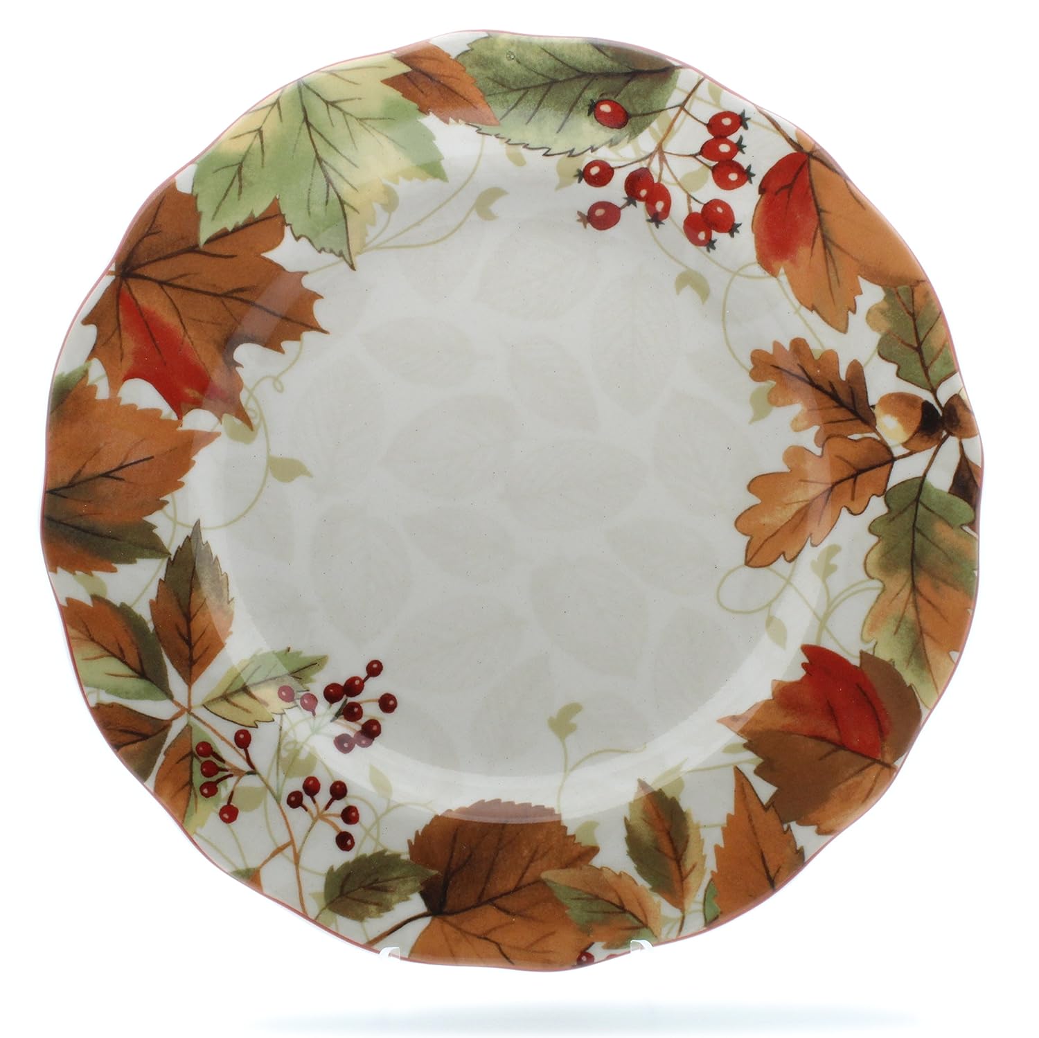 Best dishwasher safe 11 inch dinner plate fall