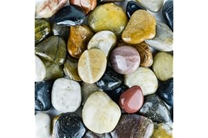 GALASHIELD 5 lbs Approx. 38 River Rocks Stones for Plants Pebbles for Indoor Plants | Aquarium Fish Tank Rocks | Polished Decorative Rocks for Vases (2-3 Inches)