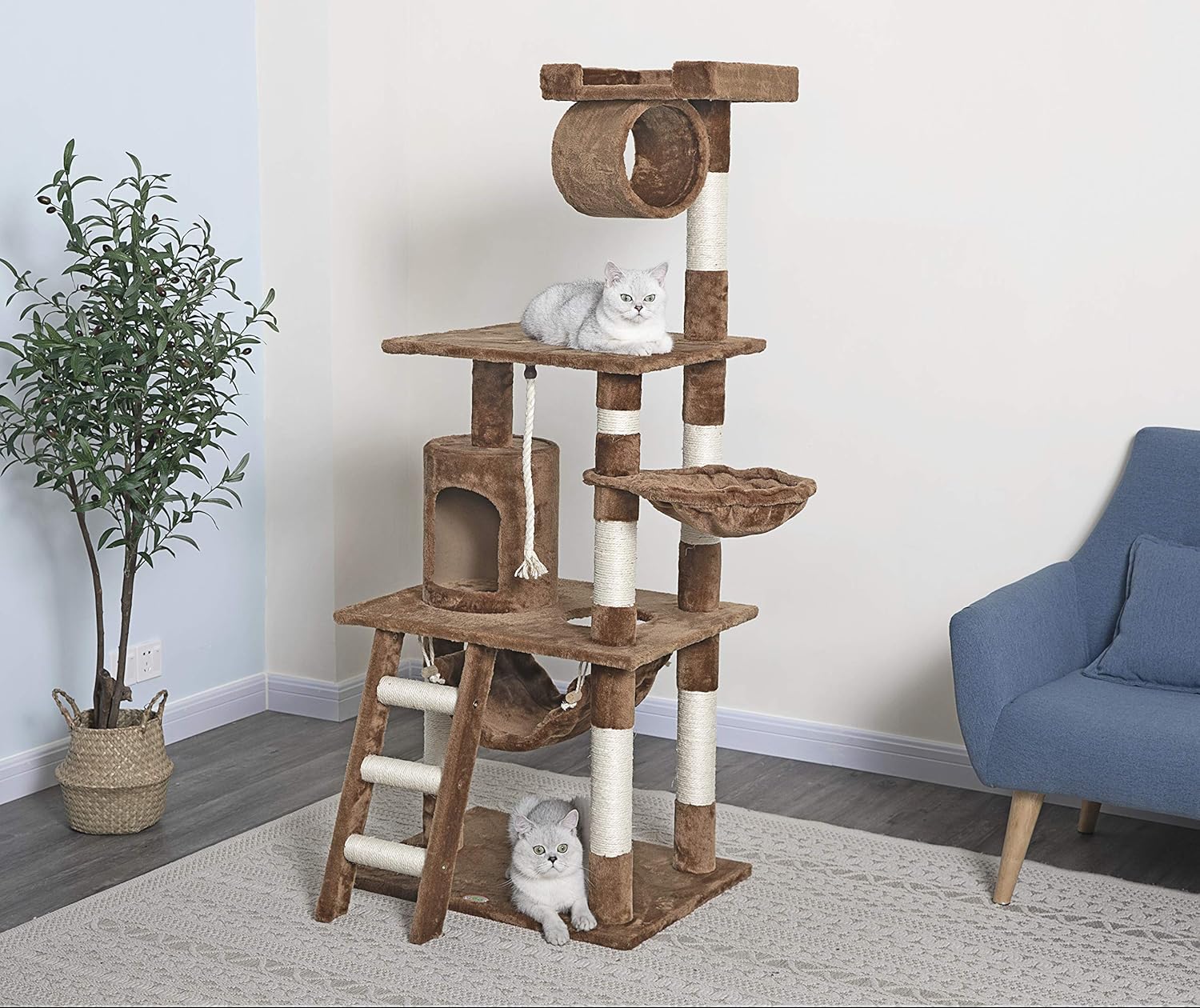 Go Pet Club 62-Inch Cat Tree : Pet Supplies