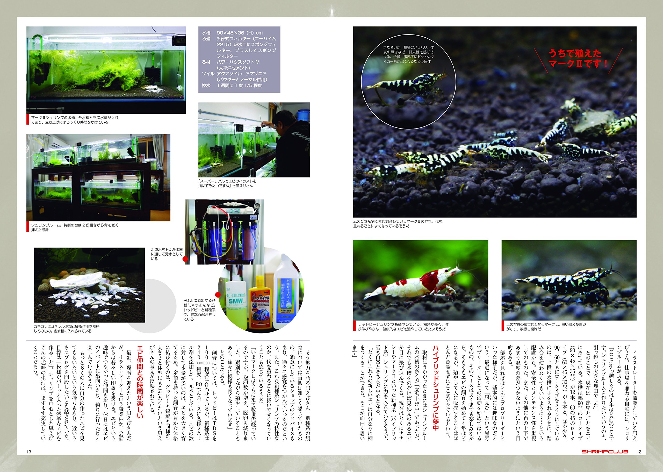 55 以上節約 月刊 フィッシュマガジン 04年11月号 特集 シュリンプ飼育 匠の技 Mojeirysy Pl 55 以上節約 月刊 フィッシュマガジン 04年11月号 特集 シュリンプ飼育 匠の技 Mojeirysy Pl