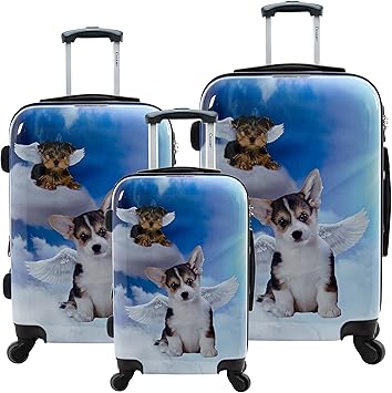 chariot carry on luggage