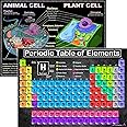 Periodic Table & Cells Science Charts - Laminated 14x19.5 - Educational Classroom Decorations, Back to School Supplies, Learning Posters for Biology & Chemistry Classes, STEM & STEAM Posters