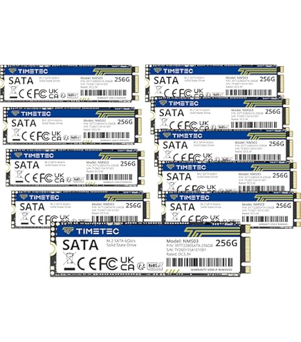 Amazon.com: Patriot P300 256GB Internal SSD - NVMe PCIe Gen 3x4