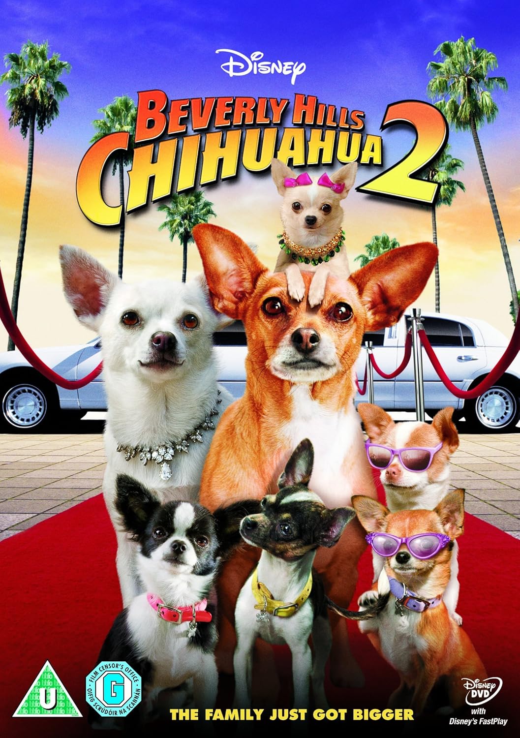 Beverly Hills Chihuahua 2 [Edizione: Regno Unito]: Amazon.it ...