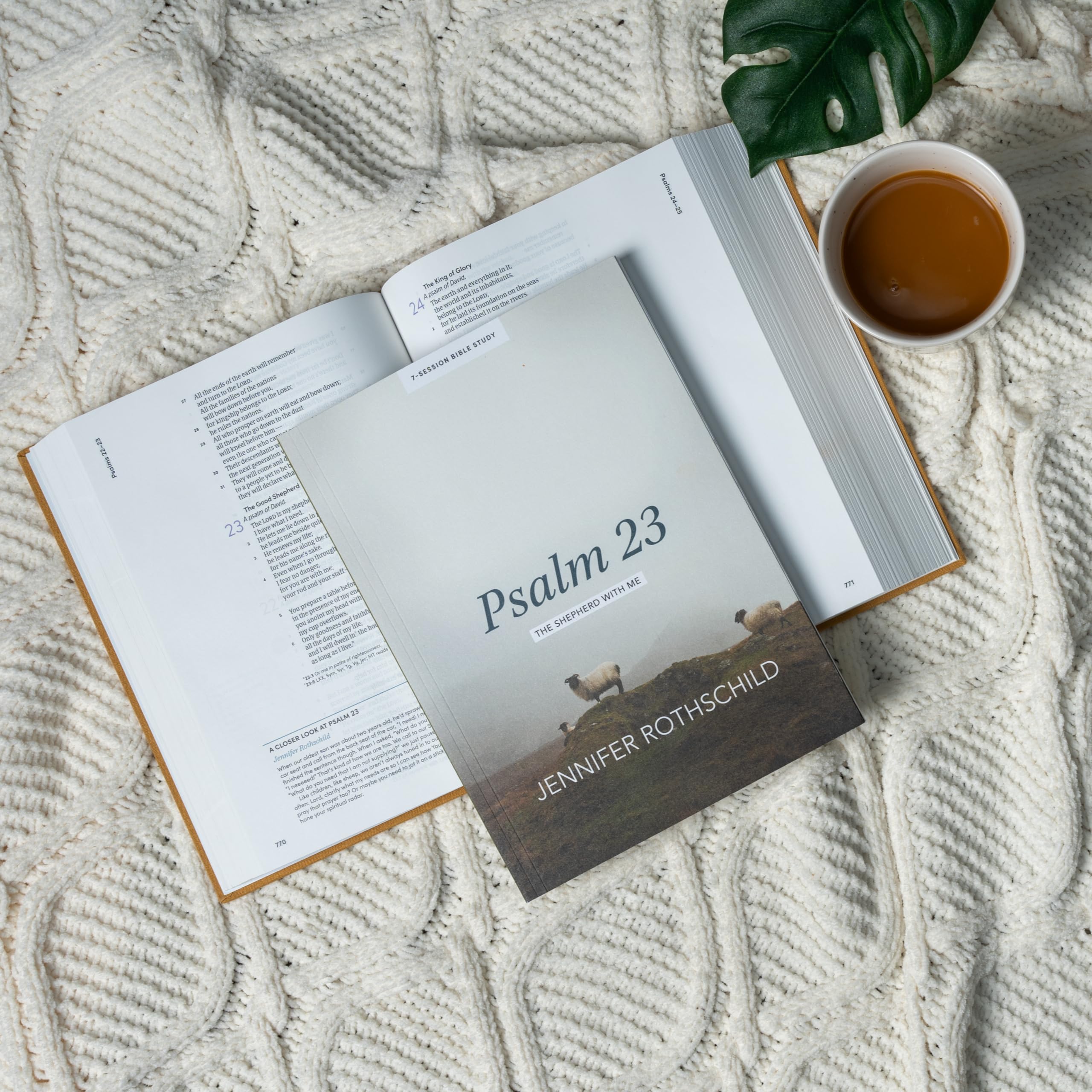 Psalm 23 - Bible Study for Women with Video Access: The Shepherd With Me