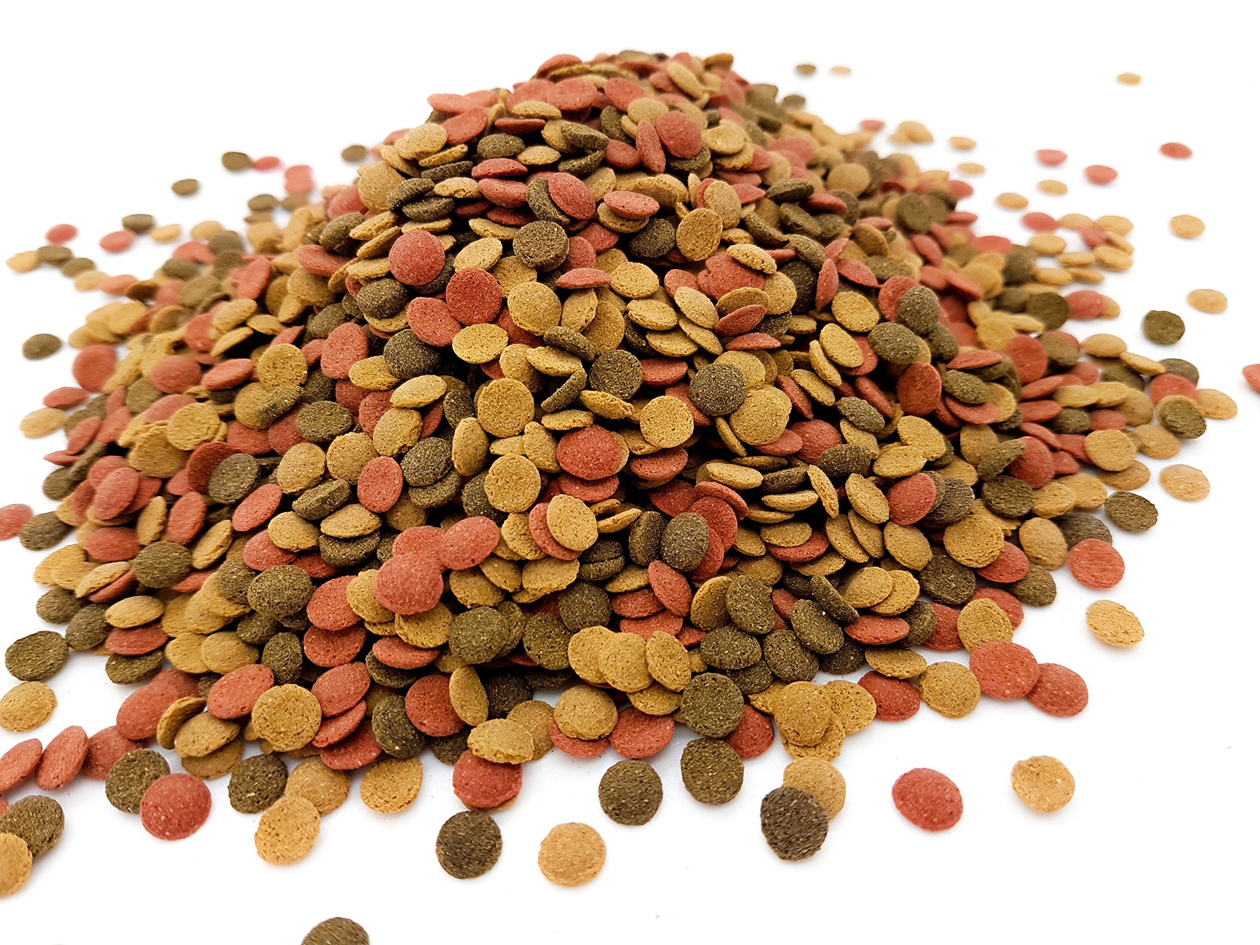 HERONS - Mini Wafer Mix - 5 mm Sinking Wafers with Spirulina - For All Bottom Feeding Fish - Rich in Vitamin C and Fiber - Immune Support - Enhance Colour and Improves Digestion - 1000 Grams