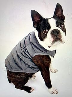 weighted vest for small dogs