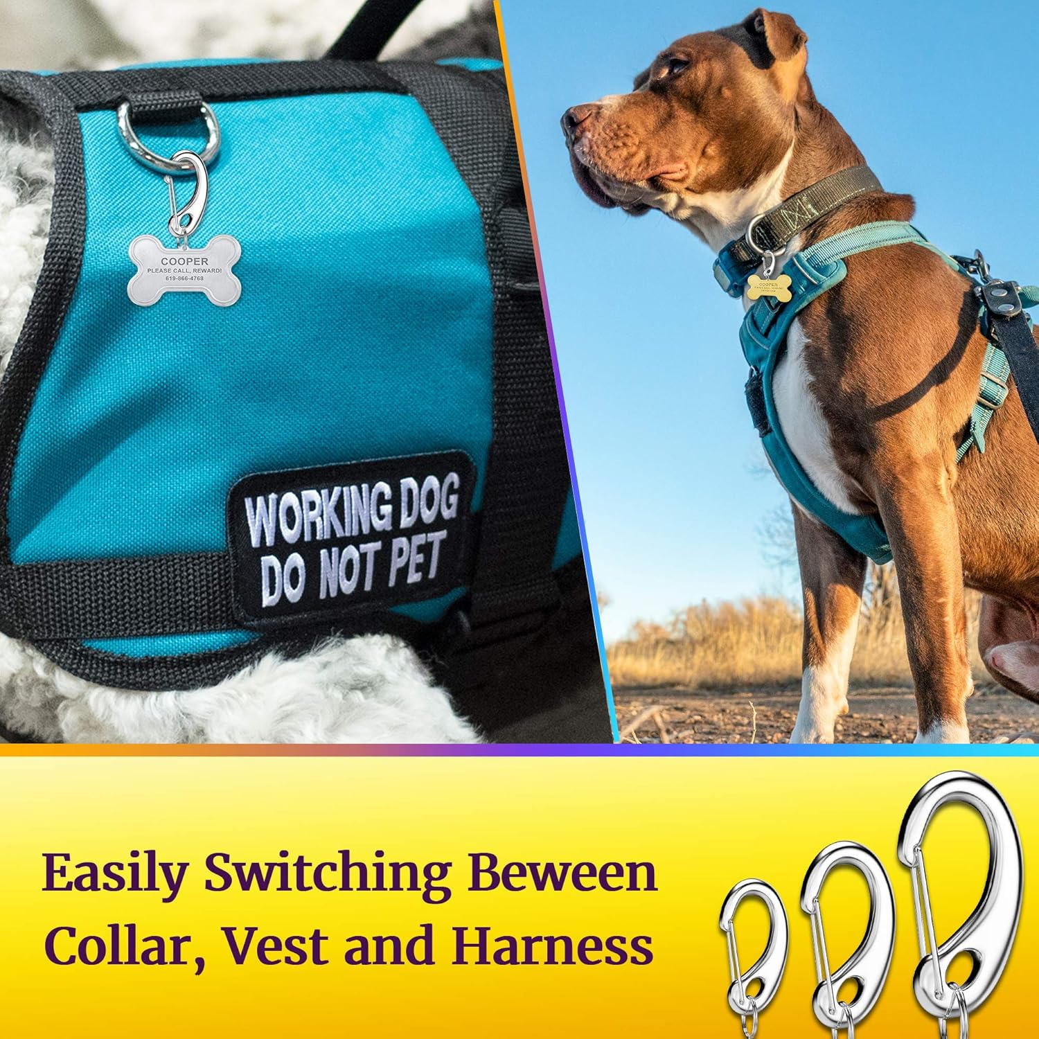 Leash King Dog Tag / Pet ID Tag w/ Pet Tag Quick Clip Combos- 1 Pair (2 pcs) of Standard Quick Clips - Entirely sugrical Stainless Steel : Pet Supplies