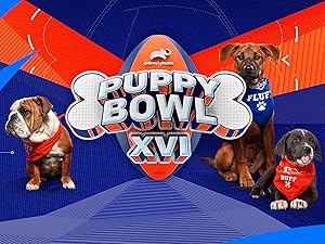puppy bowl video
