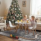 Washable 4x12 Hallway Runner Rug: Vintage Soft