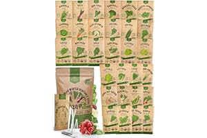 Organo Republic 30 Most Popular Winter Vegetable Garden Seeds Variety Pack- Outdoors/Indoor 8300+ Non-GMO Heirloom Veggie Seeds Broccoli Beet Carrot Cabbage Chives Lettuce Radish Pea Spinach & More