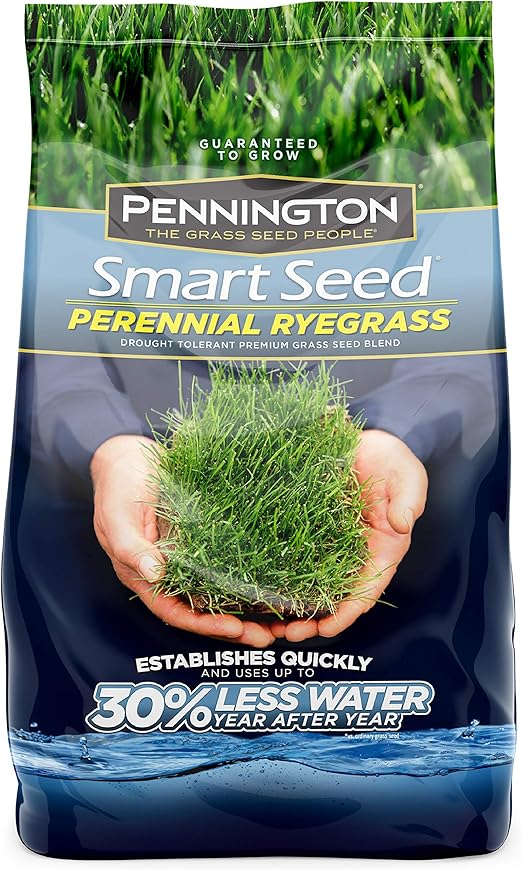Amazon Com Pennington Smart Seed Perennial Rye Grass Seed 3 Lb Garden Outdoor