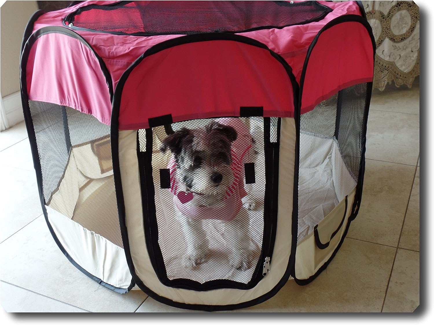 portable pet tent playpen