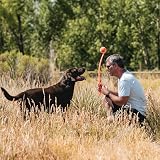 Chuckit! Sport 26 Ball Launcher Hands Free Fetch Dog Toy 66 cm view 2
