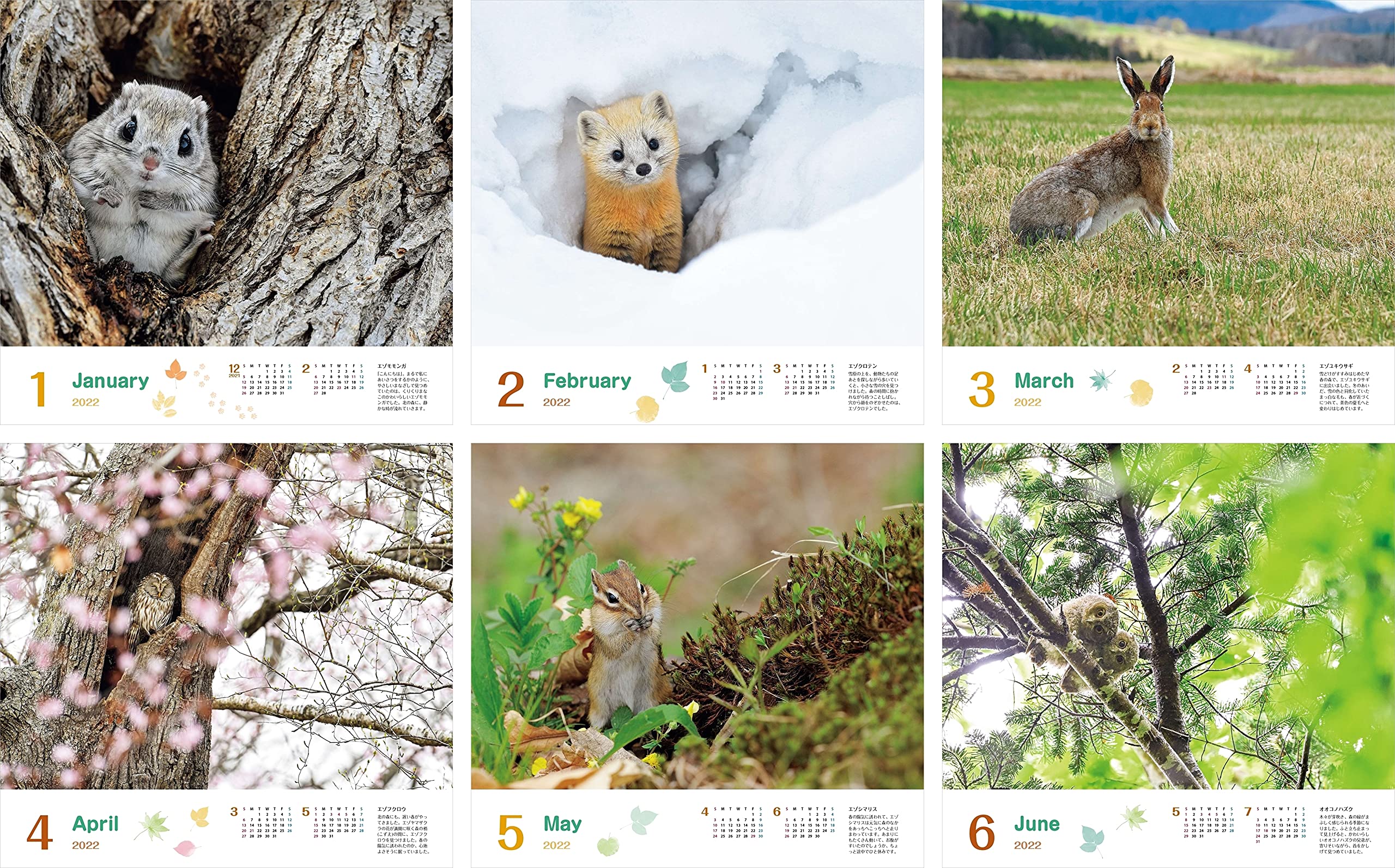カレンダー22 太田達也セレクション 森の動物たち Tiny Story In The Forests 月めくり 壁掛け ヤマケイ カレンダー22 太田 達也 本 通販 Amazon