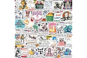 300 Pcs Funny Stickers for Adults, Water Bottle Vinyl Meme Laptop Waterproof Cute Sticker Pack, Scrapbook Planner Journal Stickers Supplies Gifts for Men Women Hard Hat Bumper
