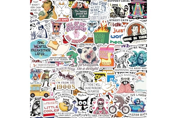 300 Pcs Funny Stickers for Adults, Sticker Pack for Water Bottle Laptop | Scrapbook Planner Journal Stickers Supplies, Waterproof Vinyl Meme Sticker, Gifts for Men Women, Hard Hat Bumper Decal