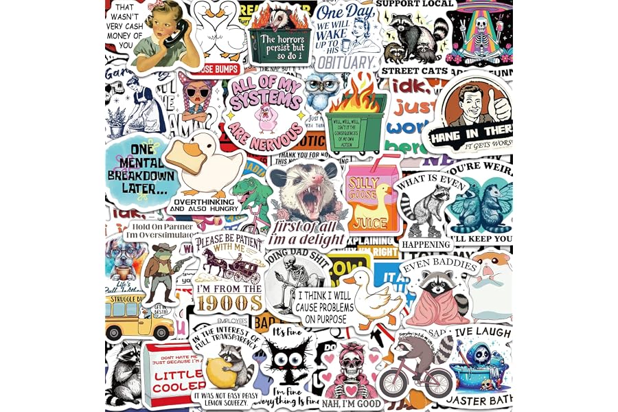 300 Pcs Funny Stickers for Adults, Sticker Pack for Water Bottle Laptop | Scrapbook Planner Journal Stickers Supplies, Waterproof Vinyl Meme Sticker, Gifts for Men Women, Hard Hat Bumper Decal