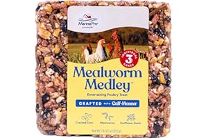 Manna Pro Mealworm Medley Cake - Chicken Treats, Chicken Food - 19.5 Ounces