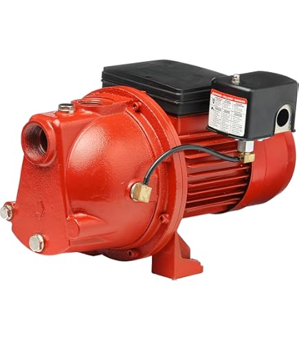 Pompe à Jet Acquaer 1 CV Pour Puits Peu Profond – Jusqu'à 25 Pieds, 115V/230V, Fonte Robuste, Modèle CCJC100