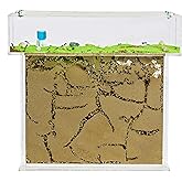 AntHouse - Natural Sand Ant Farm | Acrylic T Big Kit 9.84x7.87x0.59 in