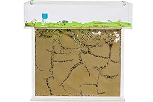 AntHouse - Natural Sand Ant Farm | Acrylic T BIG Kit 9.84x7.87x0.59 in