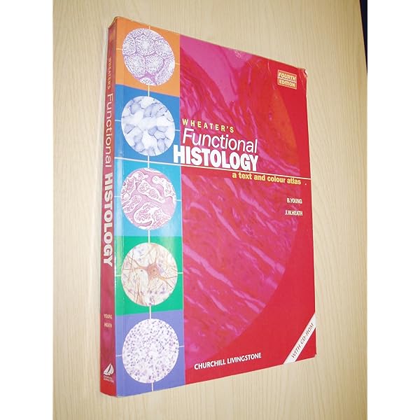 Histology of the human eye;: An atlas and textbook: Hogan, Michael