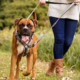 Halti Double Ended Lead for Dogs Large Purple 2m Neoprene Padded Reflective view 4