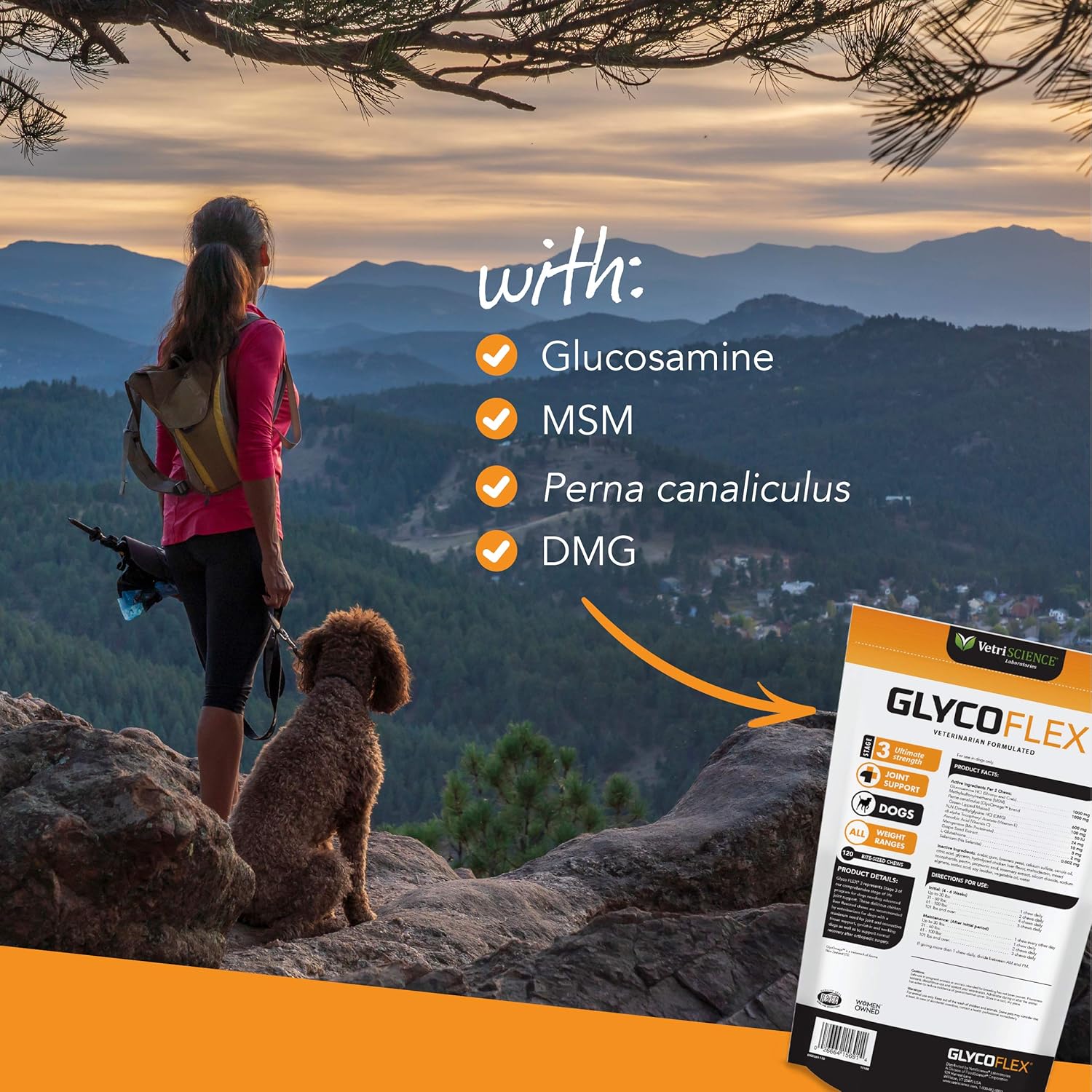 VETRISCIENCE Laboratories - Glycoflex 3 Hip & Joint Support for Dogs, with Glucosamine, DMG, MSM & Green Lipped Mussel. 120 Bite Sized Chews : Pet Bone And Joint Supplements : Pet Supplies