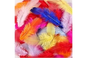 FeelfunFeather Colorful Feathers-900 pcs 3-5inch Colored Feather Bulk for Fun DIY Crafts Home Party Decoration