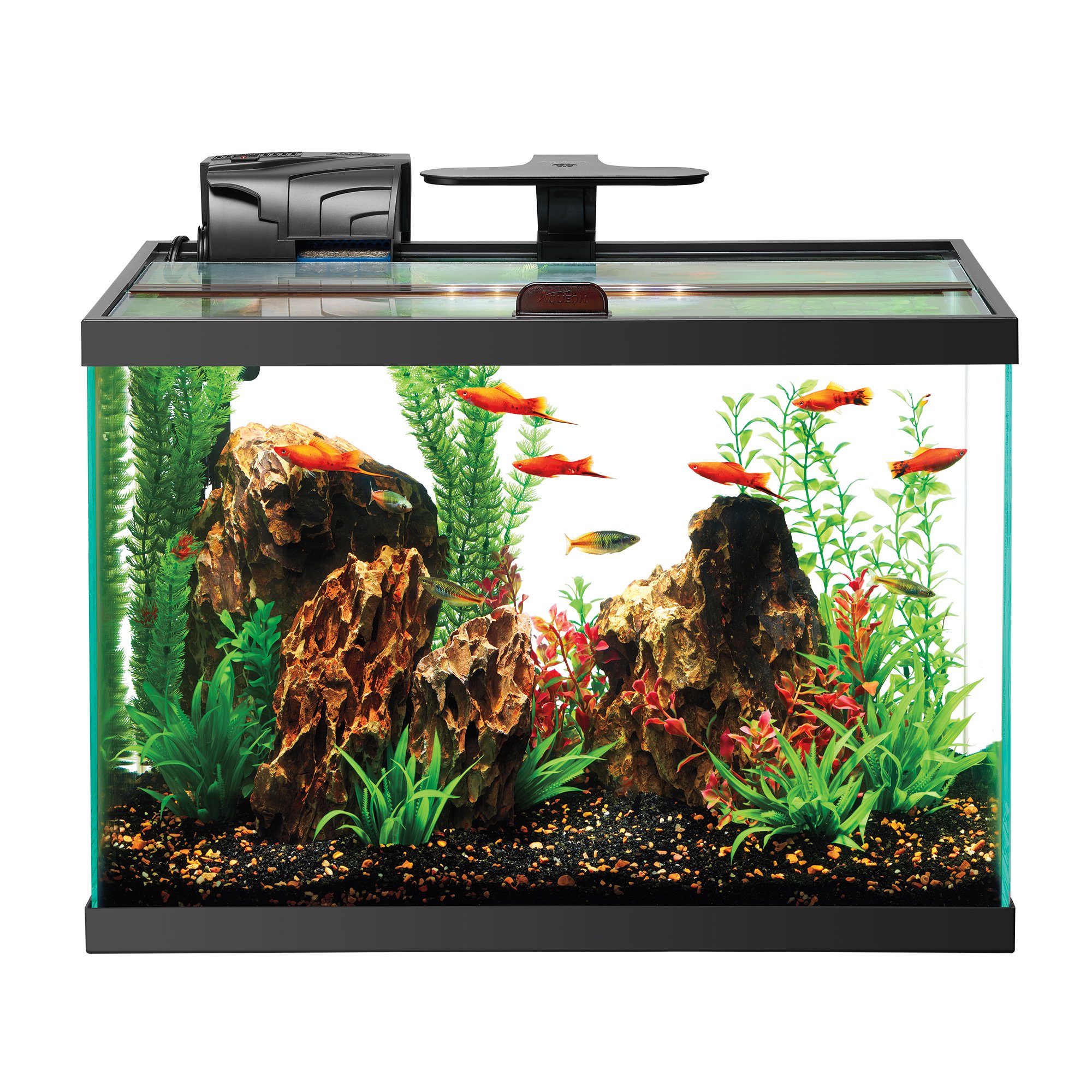 Aqueon Freshwater Aquarium ClipOn LED Light eBay