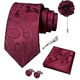 JEMYGINS Mens Paisley Tie and Pocket Square,Lapel Pin,Cufflinks,Tie Clip Sets with Gift Box 5PCS