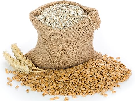 Amazon Com Lancaster County Organic Farms 5lb Wheat Bran Bedding Food For Mealworms And Superworms Pet Supplies