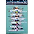 Type Chart Poster | Elemental Weaknesses & Strengths for Battle Matchup Coverage | High Fidelity Semi-Gloss Print 17 x 11