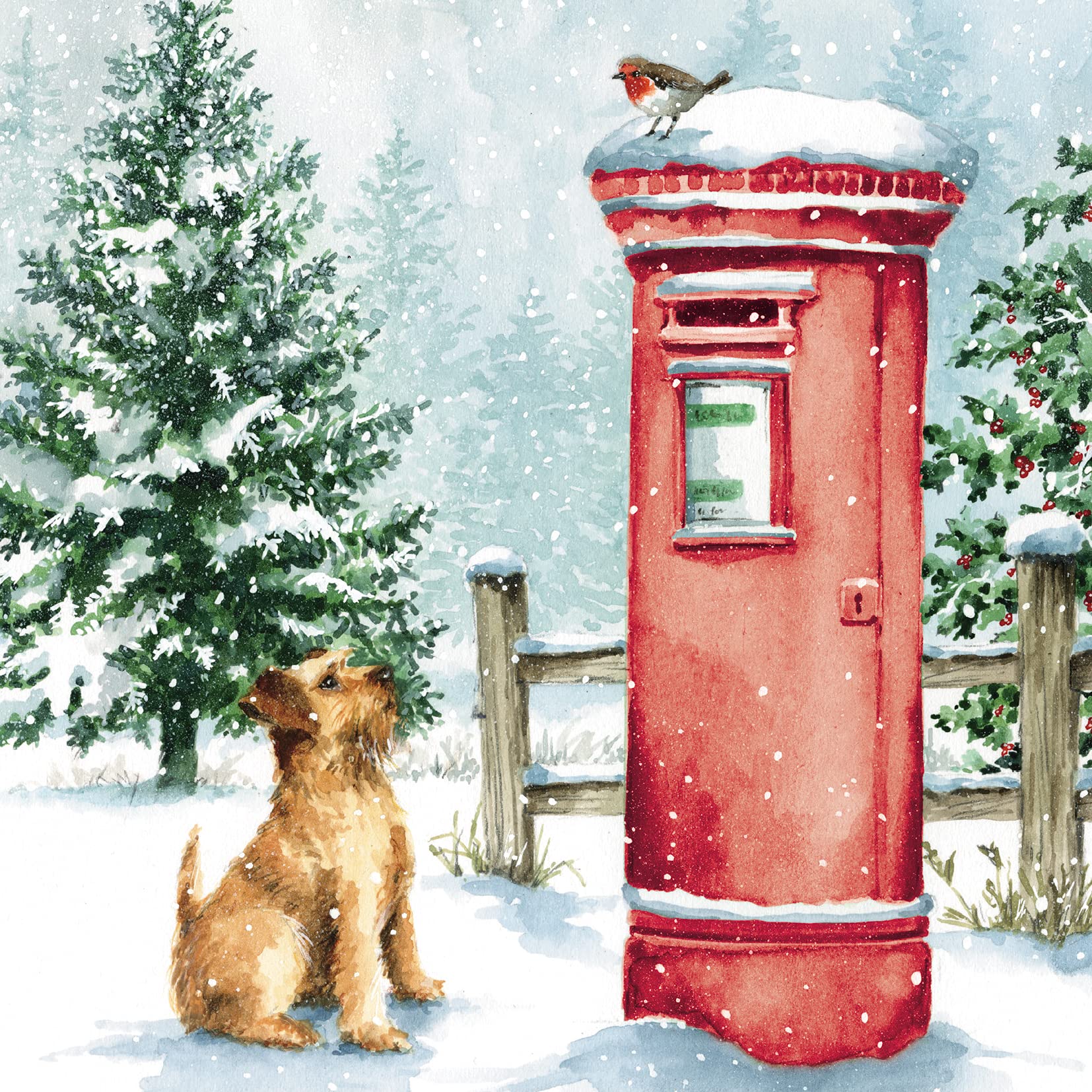 Medici Cards Pack of 6 Charity Christmas Cards - 'All Posted in Time' - Lovely Design with Dog, Postbox and Robin - 6 Cards of 1 Artistic Design