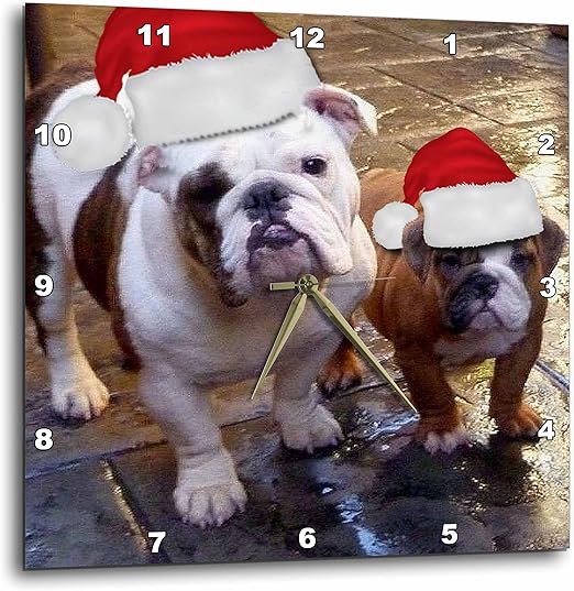 english bulldog christmas