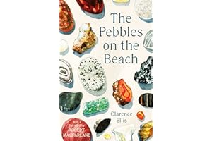 The Pebbles on the Beach
