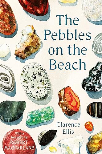 Download The Pebbles on the Beach PDF