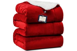 BELADOR Bed Blanket - Fleece Blankets Queen Size 90"x90"- Soft Throw Blanket with Sherpa Reverse Fluff- Large Blanket for Bed, Anti-Static Blankets & Throws- Lightweight Blanket, Cozy Couch Blanket