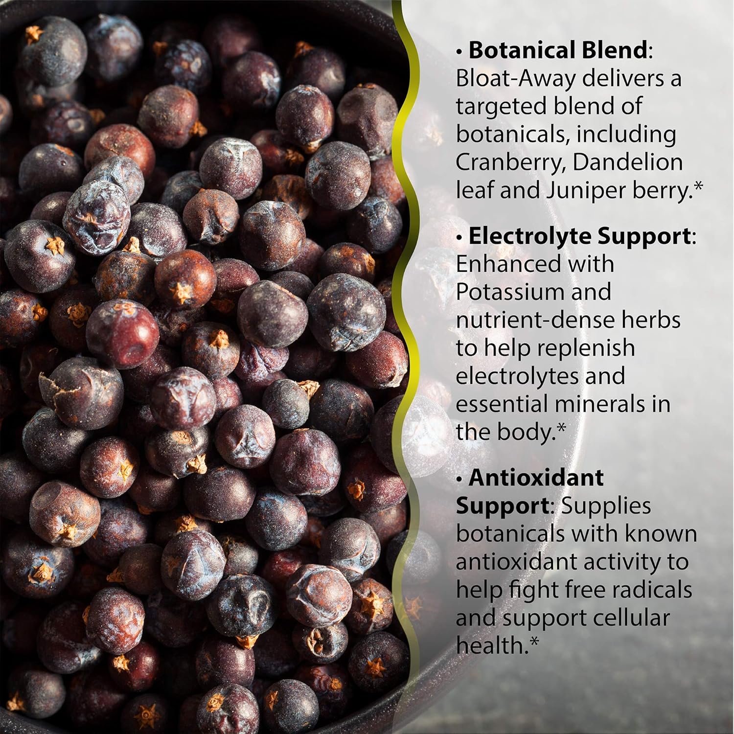Irwin Naturals Bloat-Away - Water Balance Support - Replenish Electrolytes & Essential Minerals - 60 Liquid Softgels: Health & Personal Care
